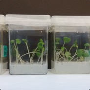 grabernet5000 - steam id 76561198010340010