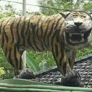 讲段子的老司机