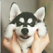 好好的人咋说炸就炸了11