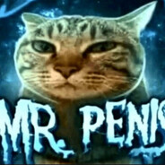 Mr. Penis