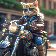 КоТиК_На_МоТиКе