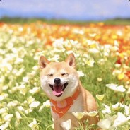 于小欢乐