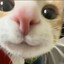 恋春