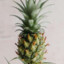 Happy Pineapple