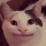 爱吃面包的面包狗