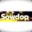 Sowdop csgobig.com