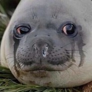 Seal Of Sadness