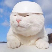 有内鬼终止交易