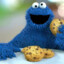 Cookie Monster