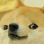 Doge