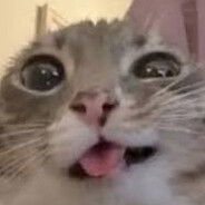 Koyu :)