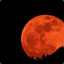 Blood Moon