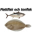 Plattfisk och Tonfisk