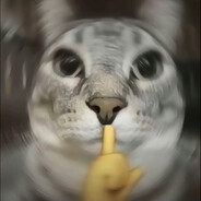 双子塔是我扫转做掉的