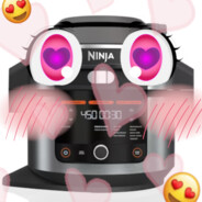 Ninja AirFryer-Chan