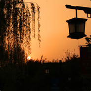 不爱玩儿游戏的老九