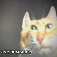 дамский угодник217