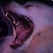 ⎝⎝✧GͥOͣDͫ✧⎠⎠