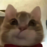 深情忧郁把妹王