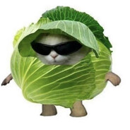 3-(2-aminoetil)-1H-indol-5-ol