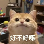 此星星非彼猩猩 : )