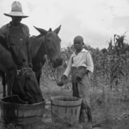 zekas - steam id 76561199018243980