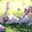 白夜凛音