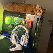 Player avatar