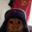 Communism Cat