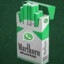 Marlboro Whatsapp