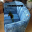 StainedJouch