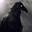 darkraven