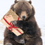 gift bear[300Mph]