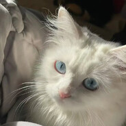 大大蒜蒜蒜蒜蒜蒜