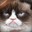 Marshal_Berthier