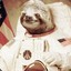 Big Dawg? Nah Big Sloth