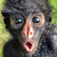 ♕♕♕P@r0\/ozik™♕♕♕