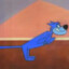 Gato a jato
