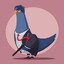 Pigeon