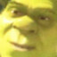 confused shrek