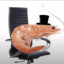 Fancy Gaming Shrimp