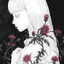 flandre