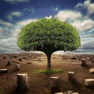 非洲酋长巴扎嘿