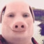 john pork