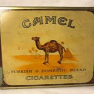 Camel