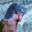 Soviet Parrot