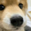 goodepl