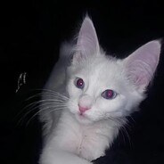 伤心的鬼肉版面