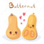 Butternut