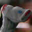 Mr. Fizzles